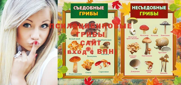 эйфоретик Богородск