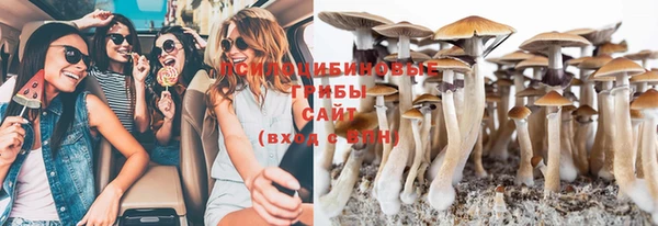 мдпв Богданович